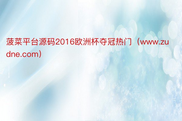 菠菜平台源码2016欧洲杯夺冠热门（www.zudne.com）